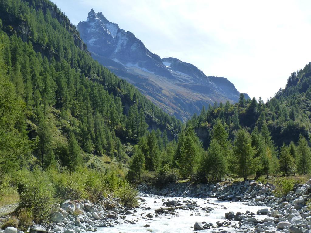 Chalet Des Alpes Bed & Breakfast Crans-Montana Exterior foto