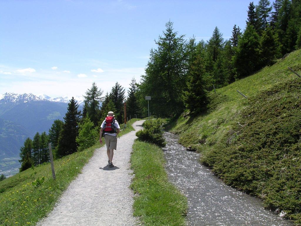 Chalet Des Alpes Bed & Breakfast Crans-Montana Exterior foto