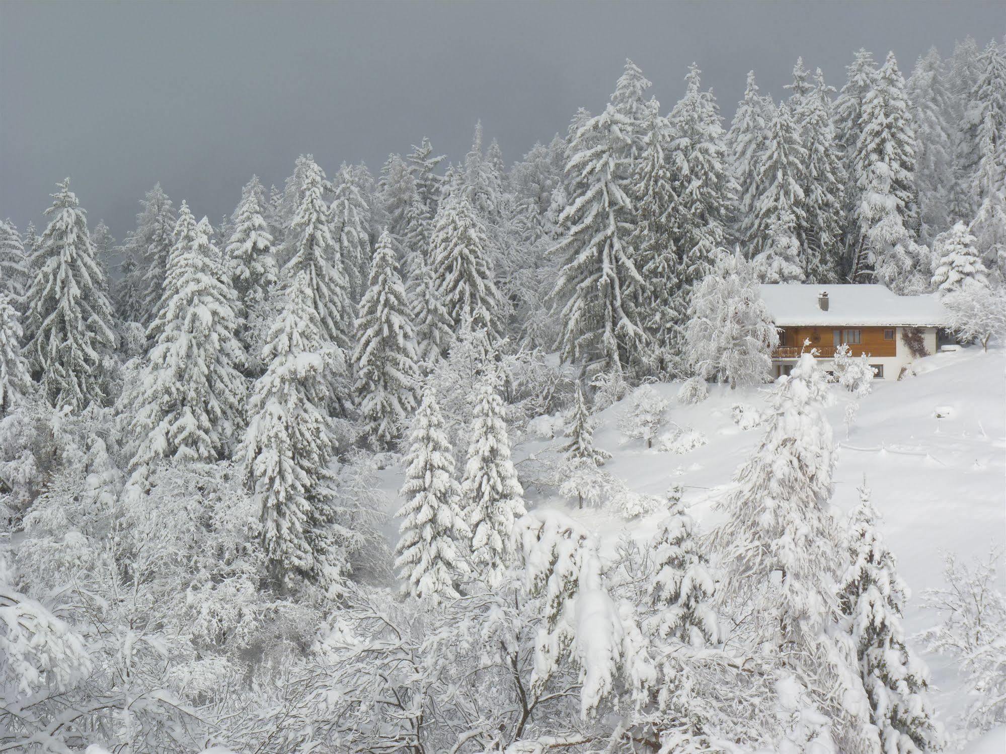 Chalet Des Alpes Bed & Breakfast Crans-Montana Exterior foto